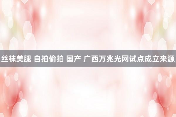 丝袜美腿 自拍偷拍 国产 广西万兆光网试点成立来源