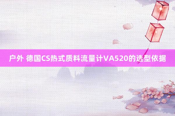 户外 德国CS热式质料流量计VA520的选型依据