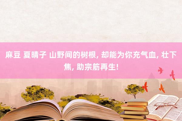 麻豆 夏晴子 山野间的树根， 却能为你充气血， 壮下焦， 助宗筋再生!
