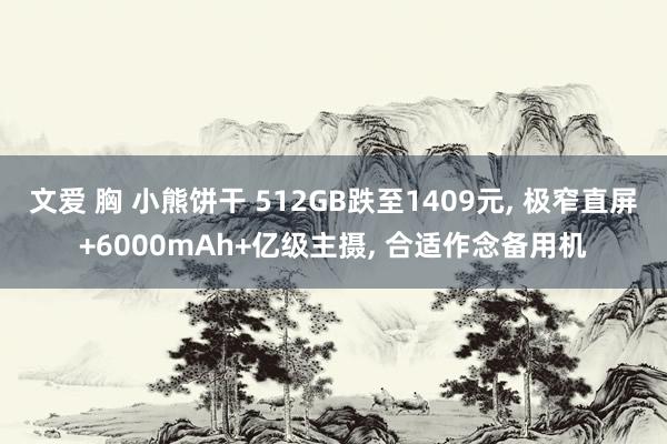 文爱 胸 小熊饼干 512GB跌至1409元， 极窄直屏+6000mAh+亿级主摄， 合适作念备用机
