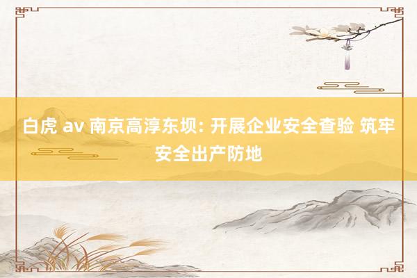 白虎 av 南京高淳东坝: 开展企业安全查验 筑牢安全出产防地