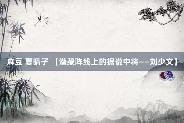 麻豆 夏晴子 【潜藏阵线上的据说中将——刘少文】